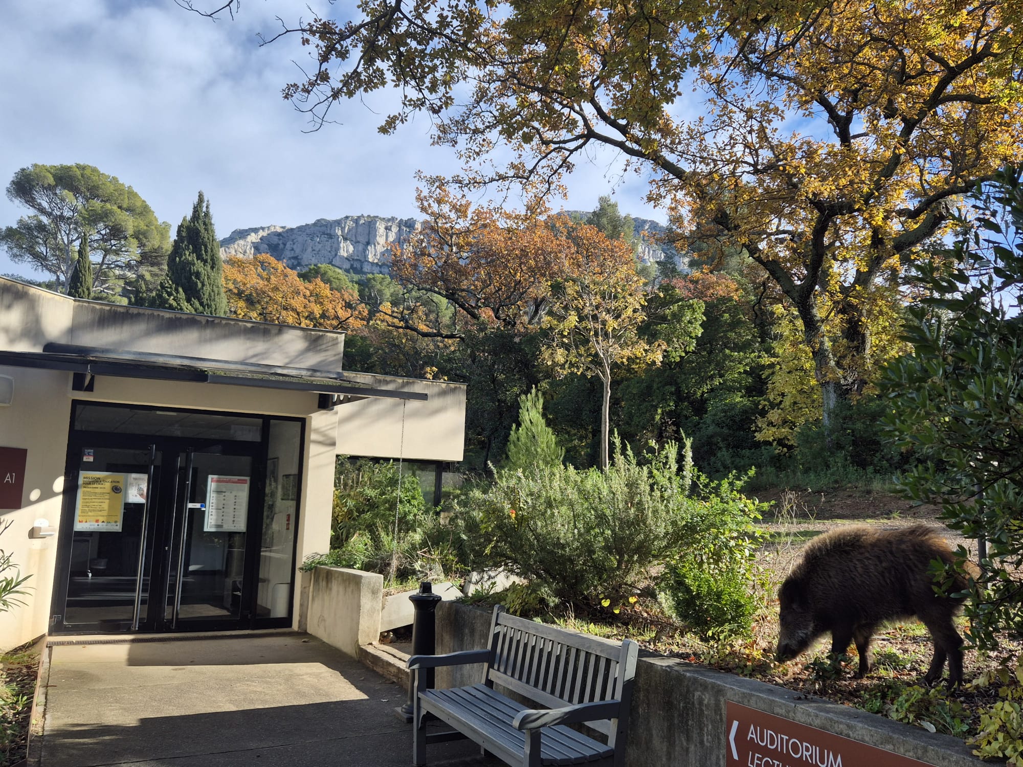 Description of the image